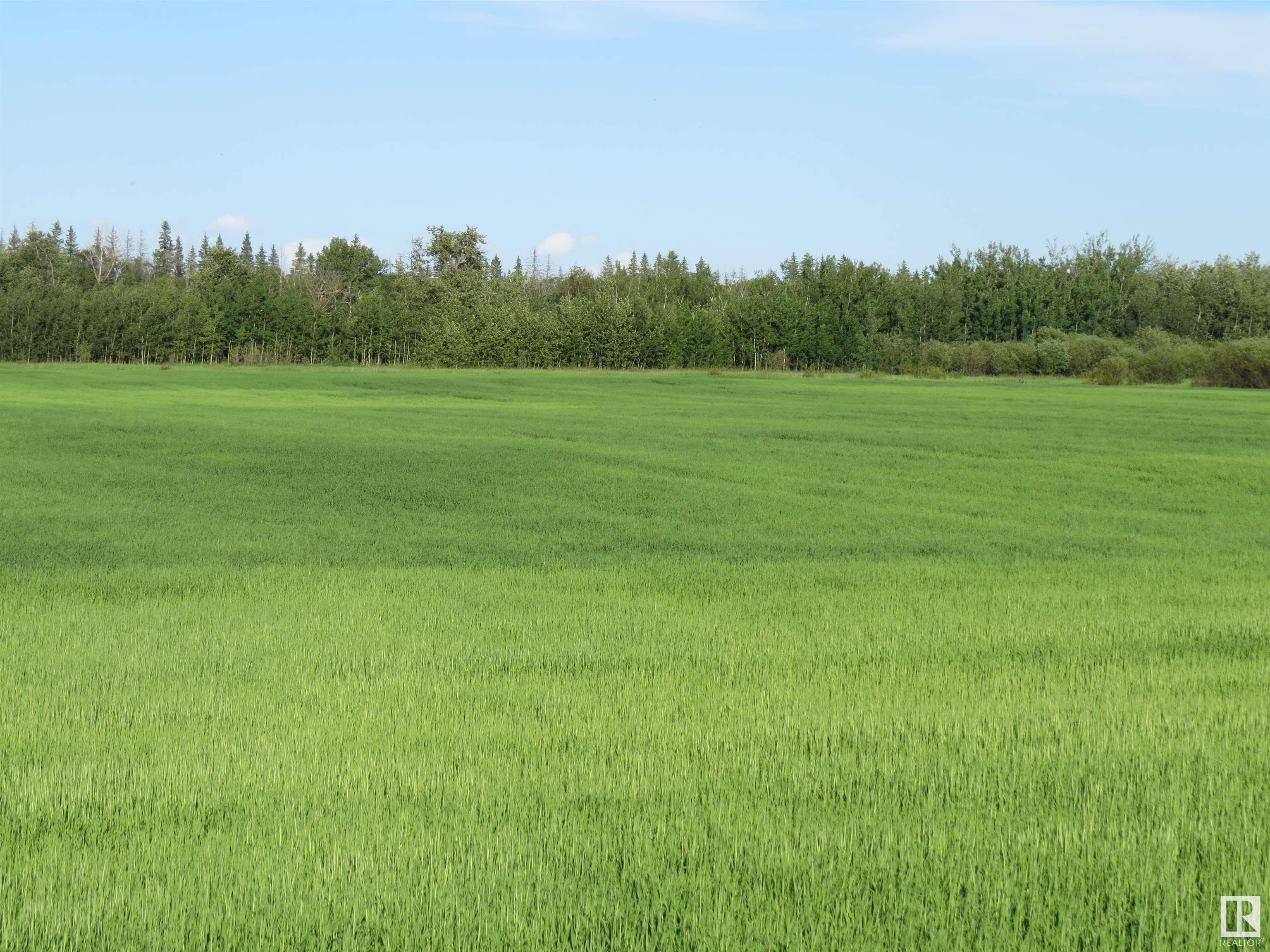 Rr 250 Twp 551, Rural Sturgeon County, Alberta, T8T 1P3