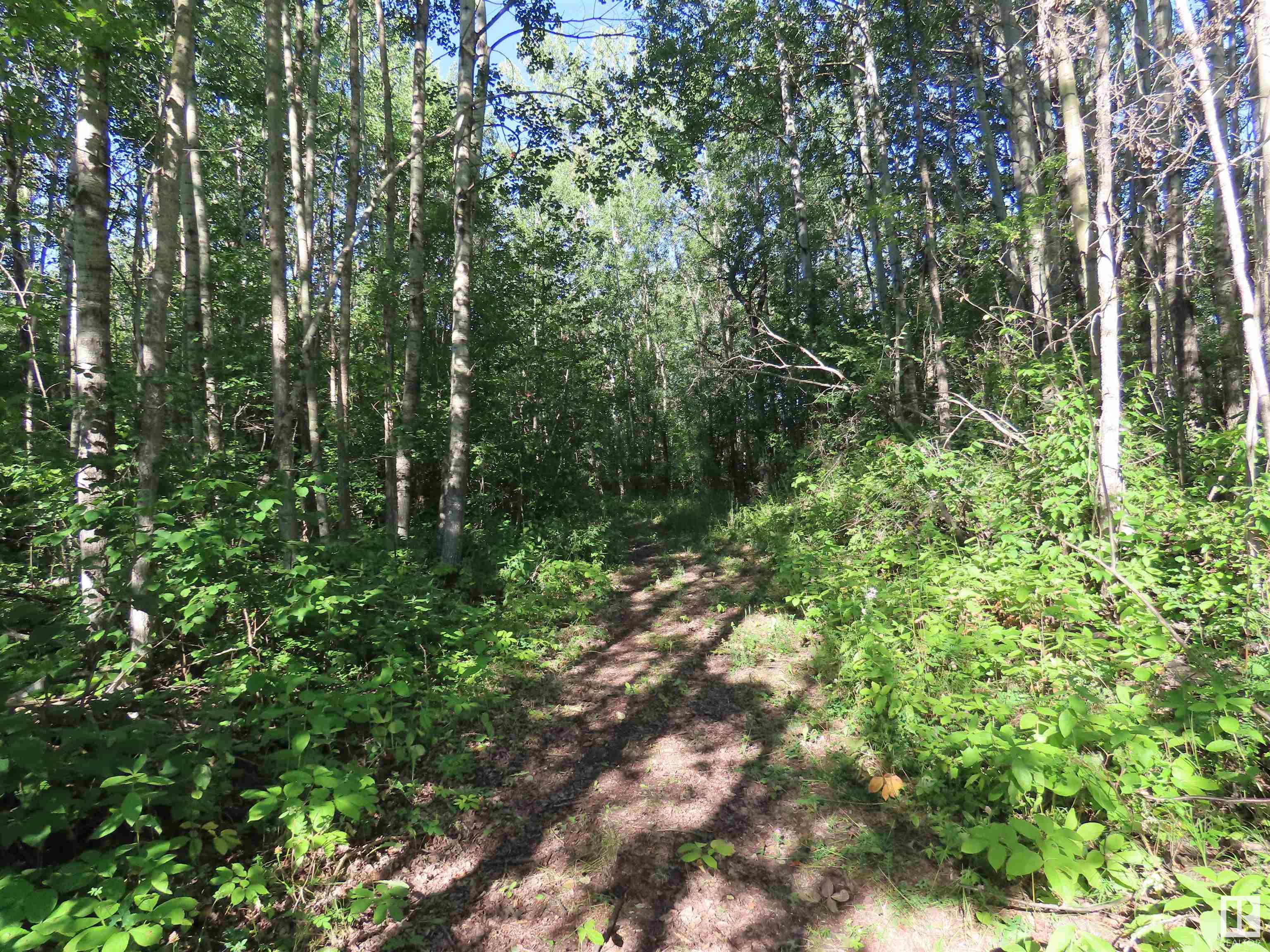 41 6004 Twp Road 534, Rural Parkland County, Alberta, T0E 2B0