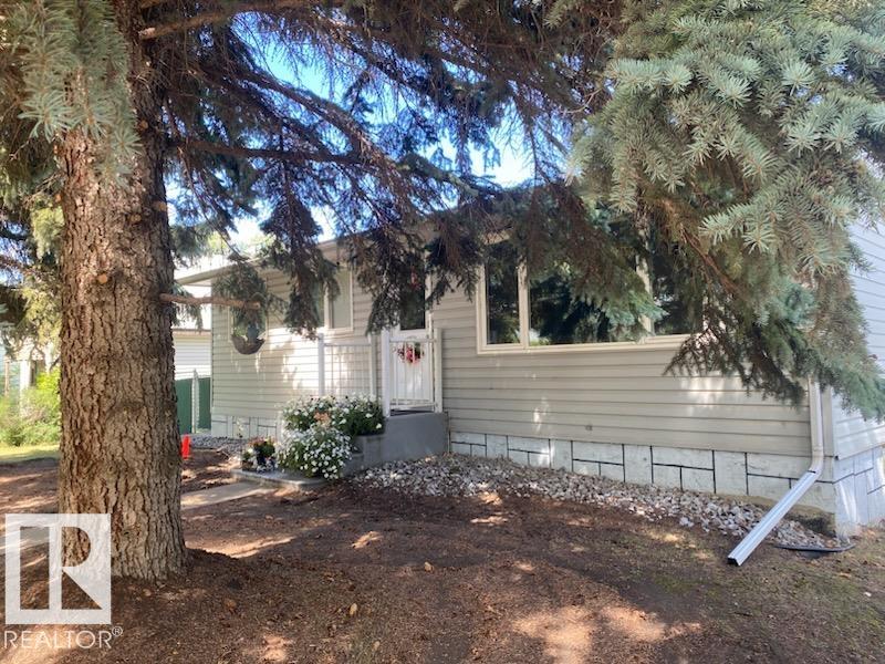 4828 52 Avenue, Viking, Alberta, T0B 4N0
