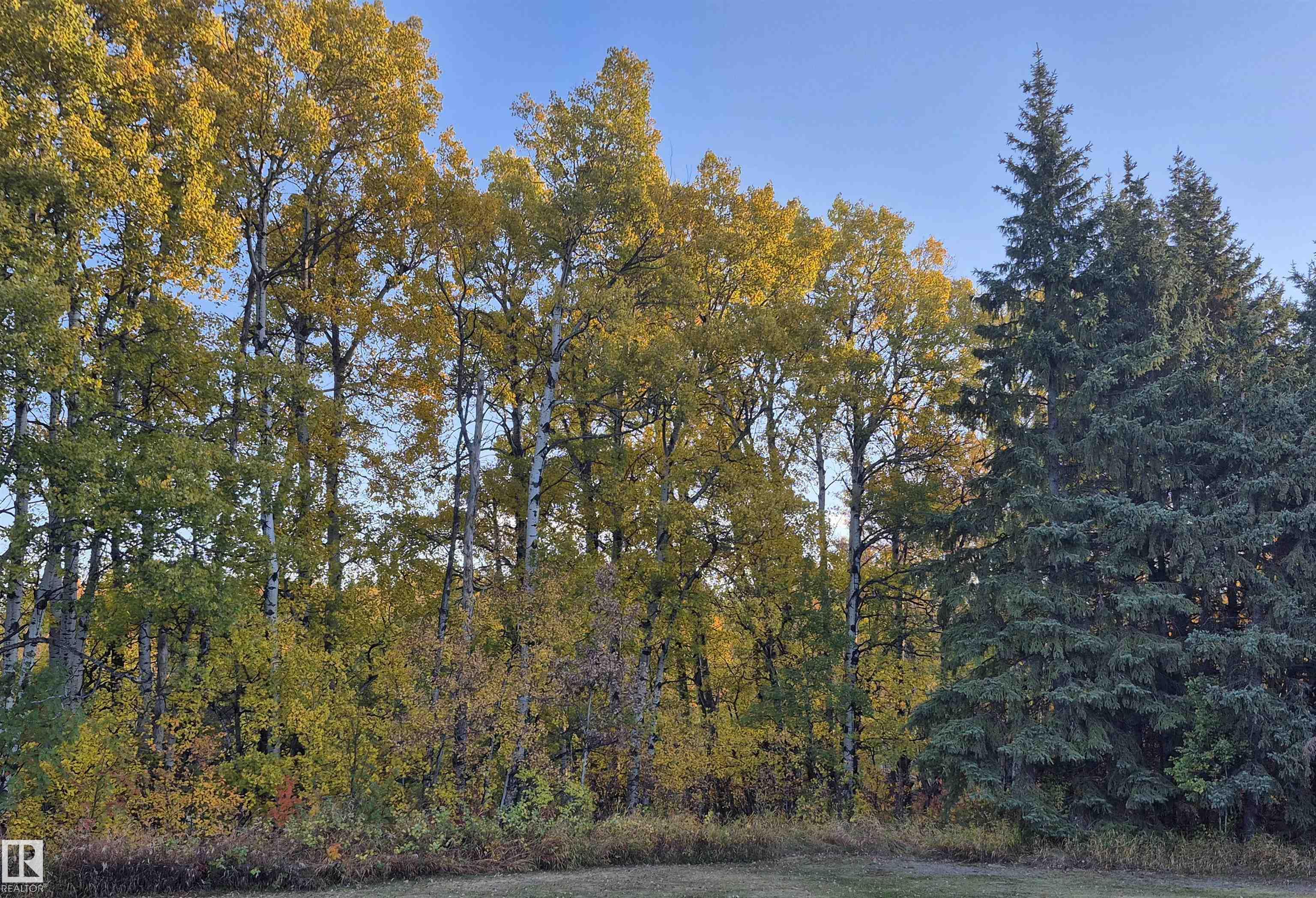 49 50322 Rge Road 10, Rural Parkland County, Alberta, T7Y 2A1