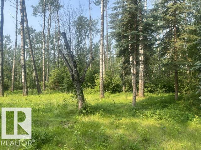 113 55107 Rr 33, Rural Lac Ste. Anne County, Alberta, T0E 1A0