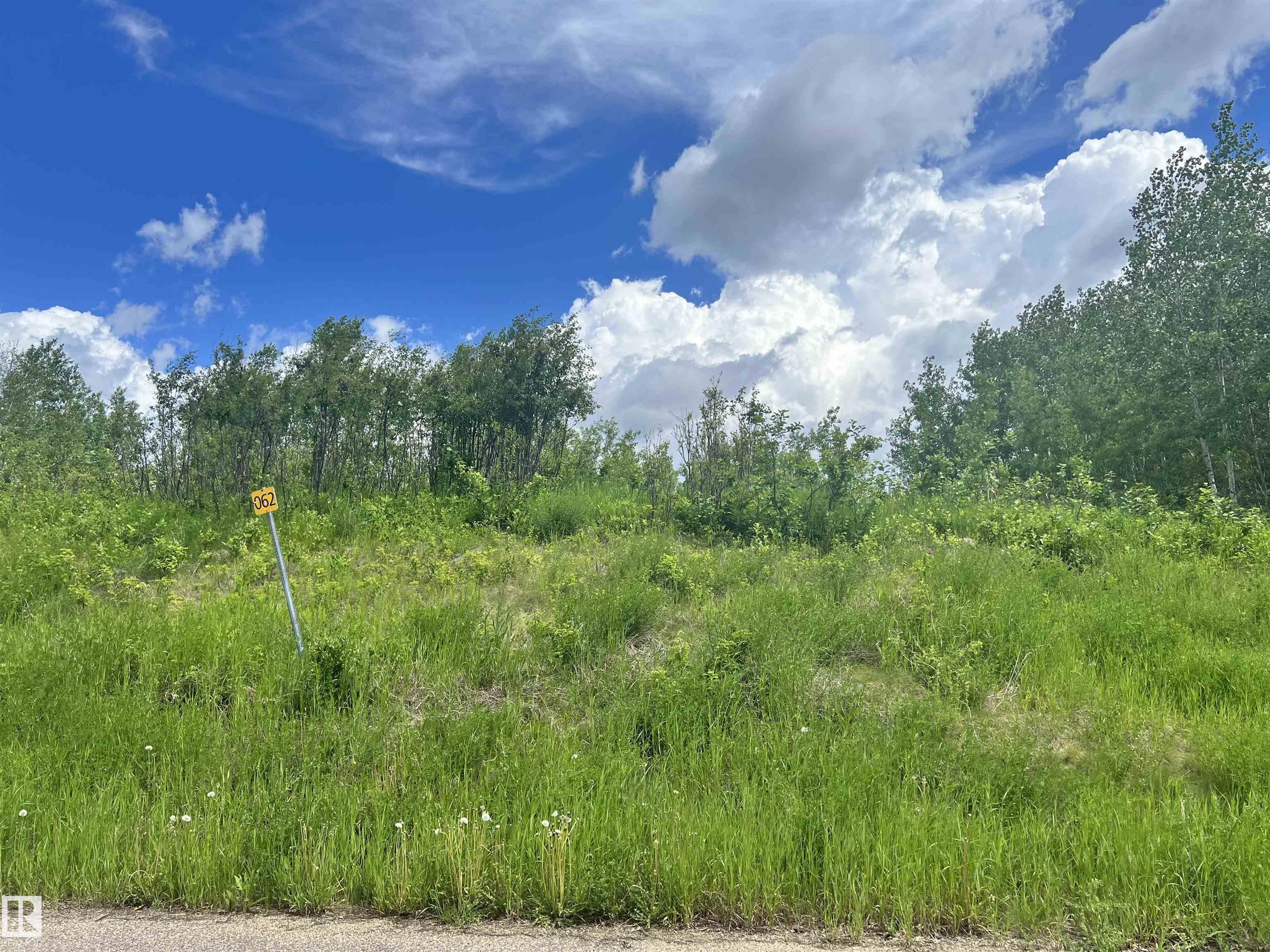 62 Coney Drive, Rural St. Paul County, Alberta, T0A 3A0