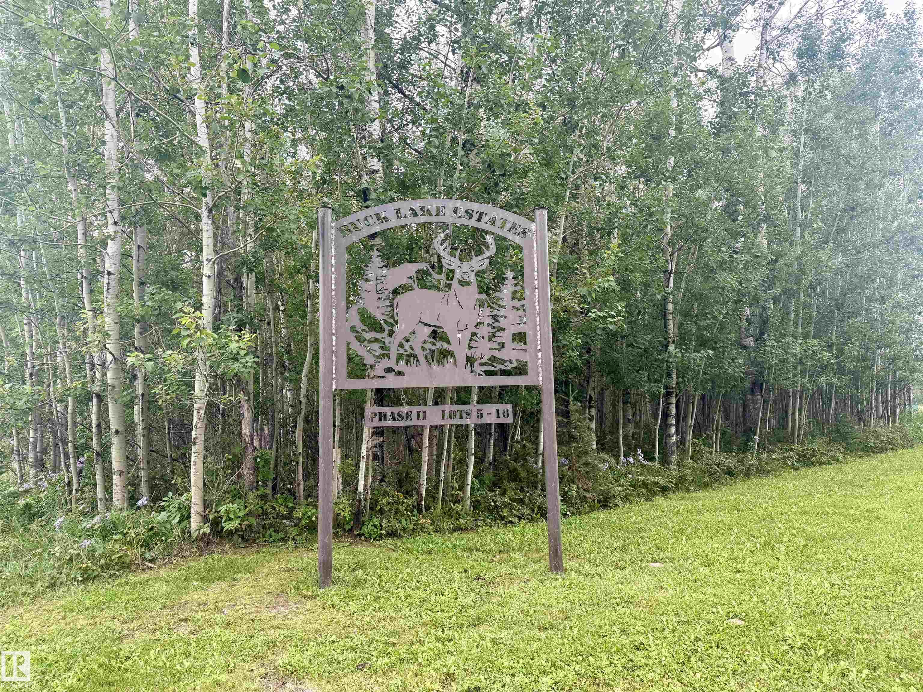 Lot 6 Buck Lake Estates, Rural Wetaskiwin County, Alberta, T0C 0T0