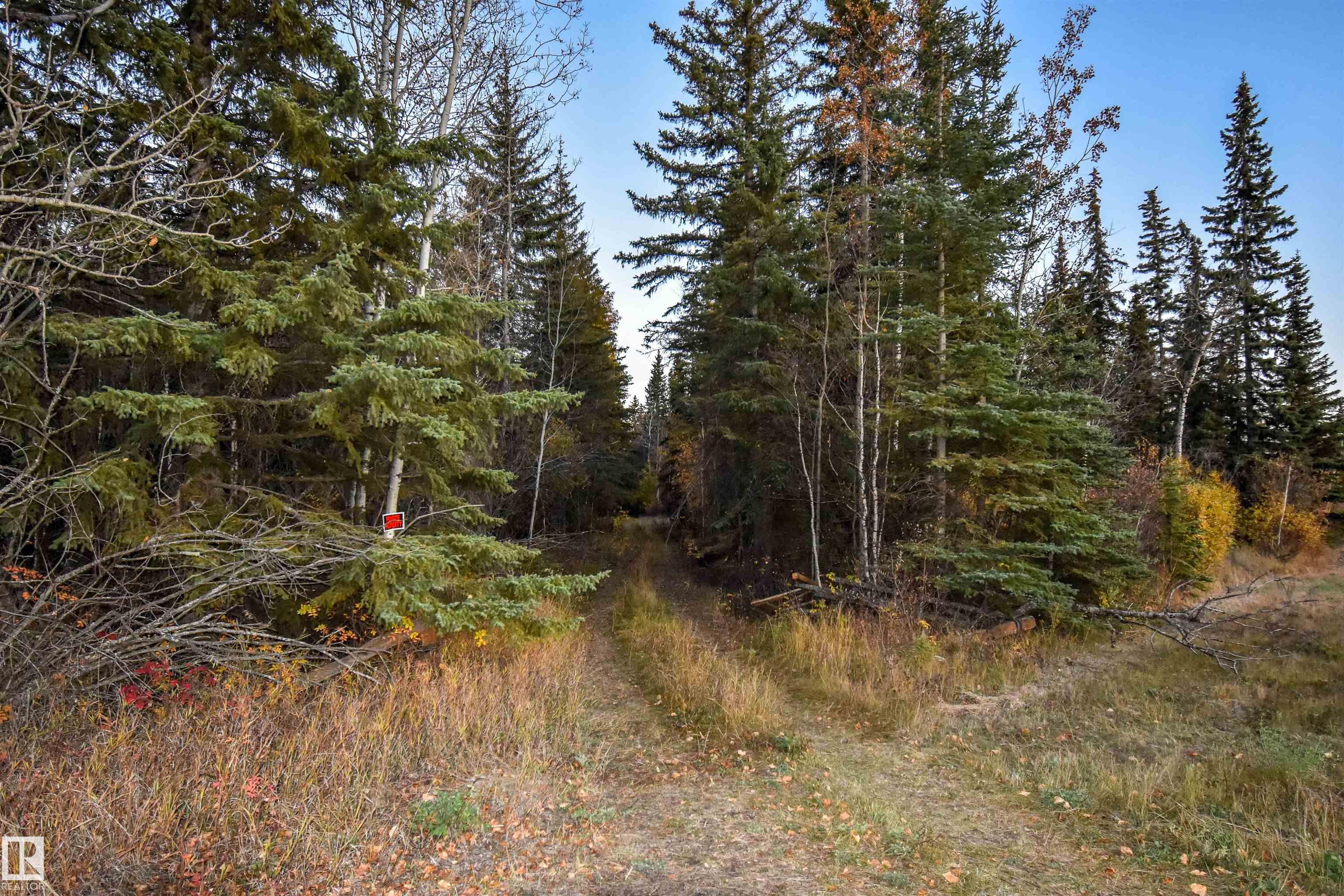 Twp Rd 625 And Hwy 63, Rural Thorhild County, Alberta, T0A 2P0