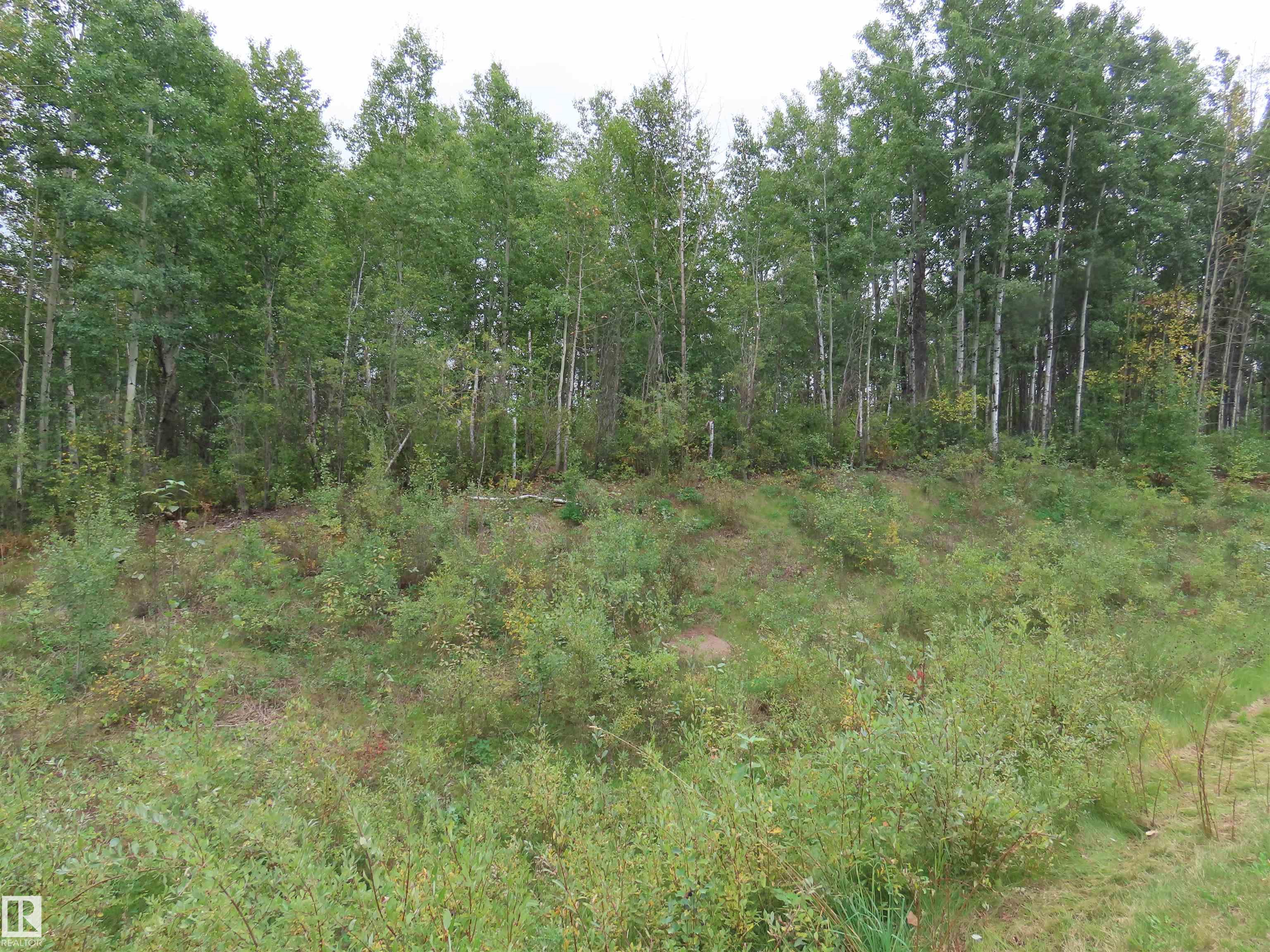 15 2406 Twp Road 540, Rural Lac Ste. Anne County, Alberta, T0E 1V0