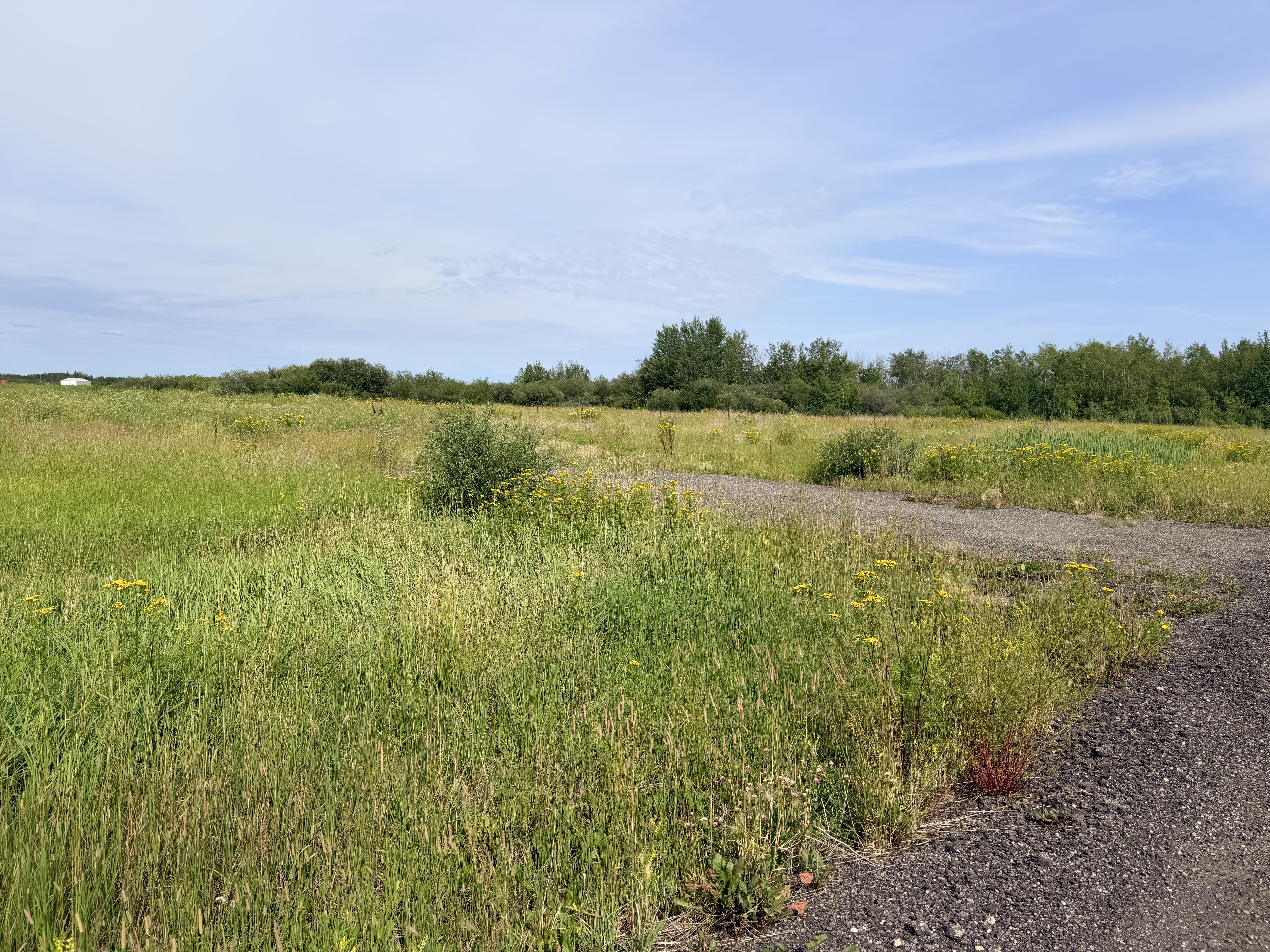Rural Westlock County, Alberta, T7P 2G1
